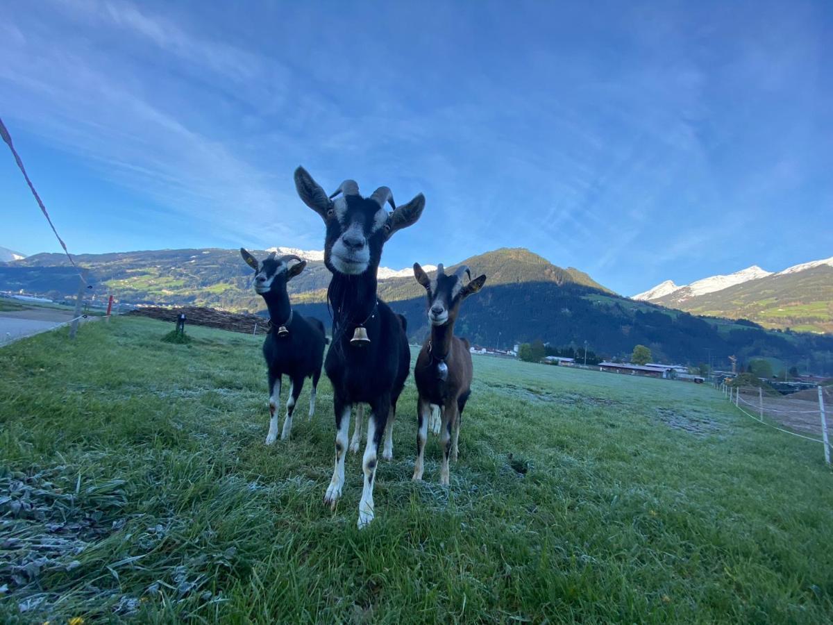 Hotel Standlhof Zillertal ウダーンス エクステリア 写真